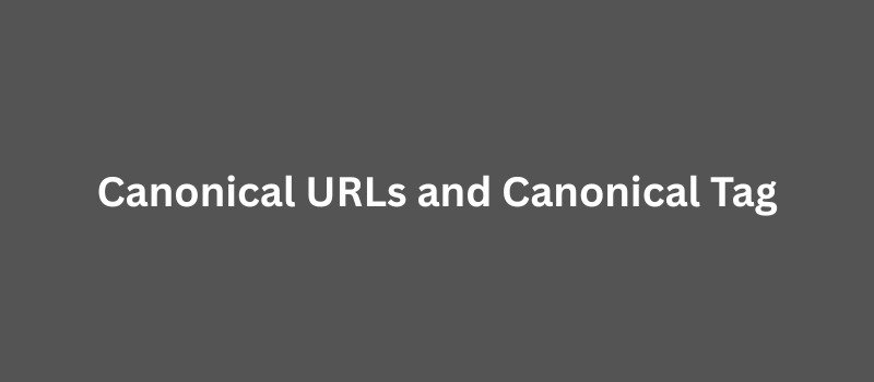Difference Between Canonical URL and Canonical Tag